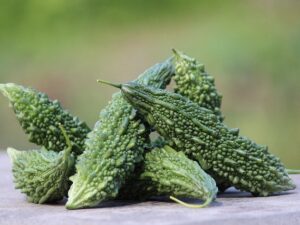 Bitter Gourd(karela)