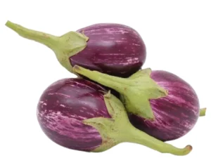 Brinjal(baigan)