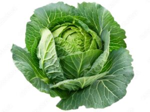 Cabbage(Patta Gobee)