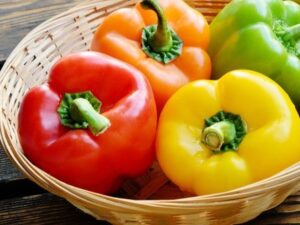 Capsicum(Shimla Mirchi)