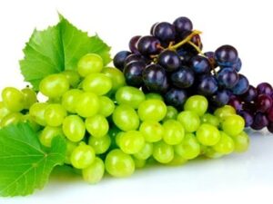 Grapes(Anjur)