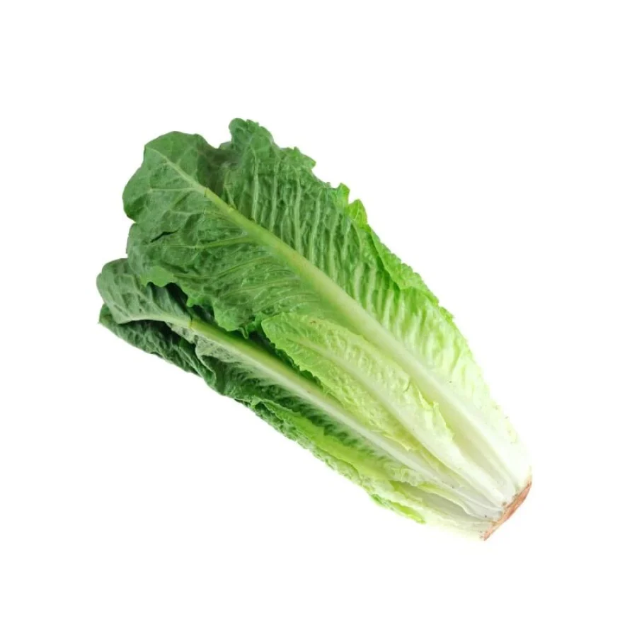 Romaine Lettuce(romen salaad)