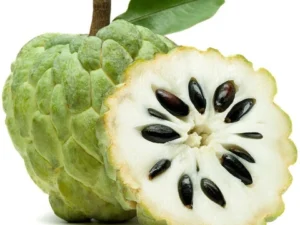 Custard Apple(Sarifa)