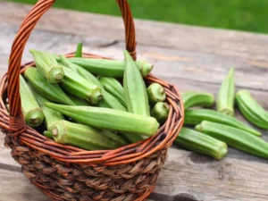 Lady Finger(Bhindee)