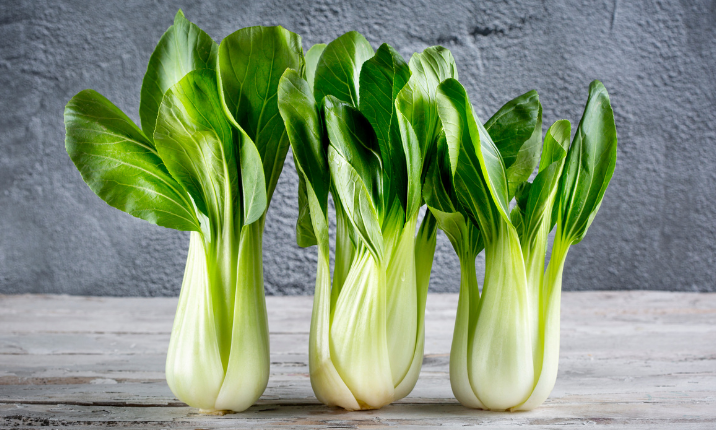 Bok Choy (pak choi)