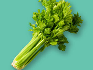 Celery(Ajwain)