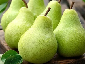 Pear(Nashpati)