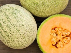 Cantaloupe(kharbuja)