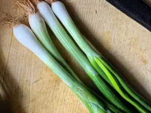 Spring Onion(haree pyaaj)