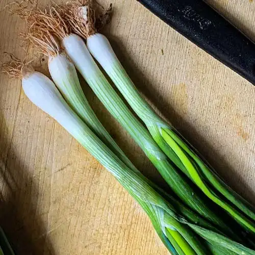 Spring Onion(haree pyaaj)