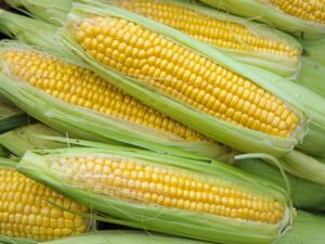 Sweet Corn(meethi maize)
