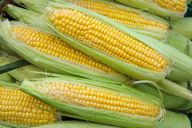 Sweet Corn(meethi maize)