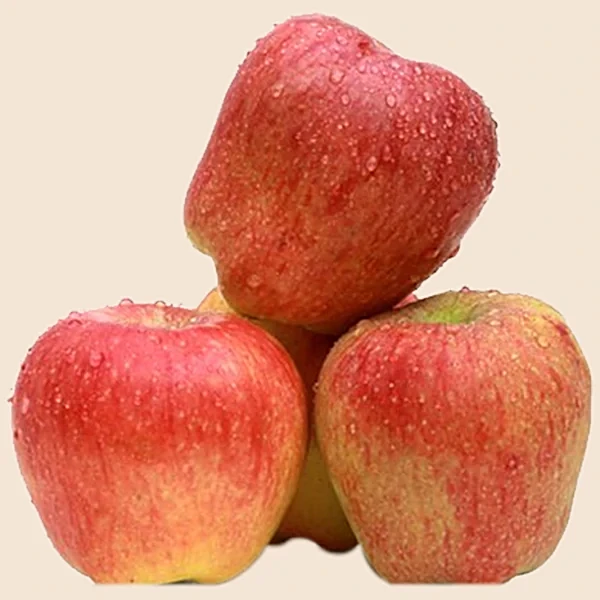Kashmir Apple
