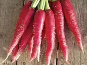 Raddish red