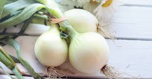 White onion