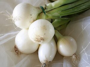 onion white